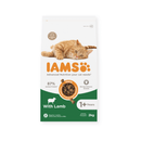 IAMS Dry Adult Cat Food Lamb on white background
