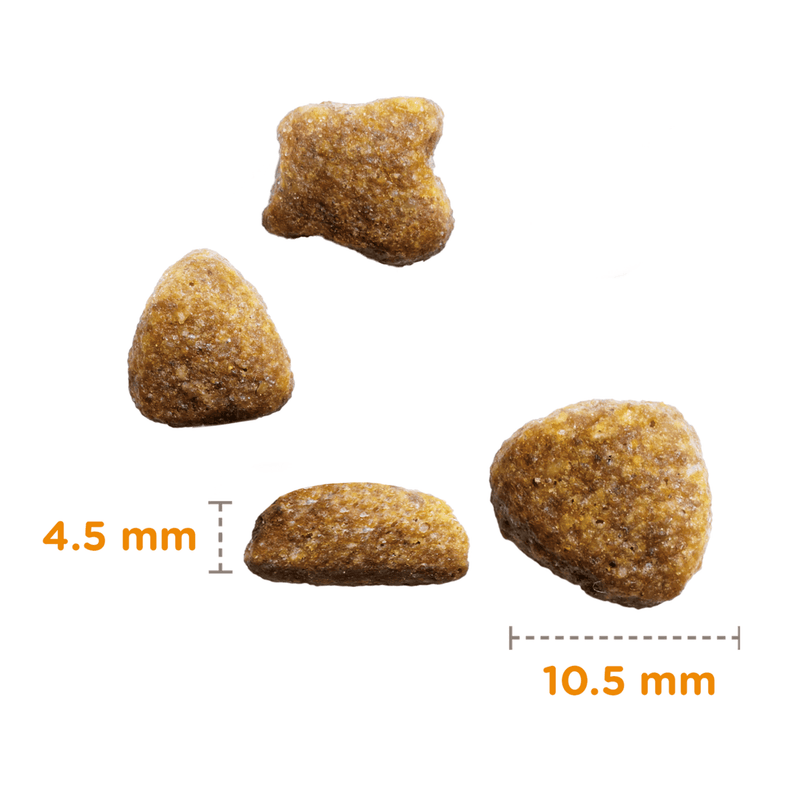IAMS Dry Adult Cat Food Ocean Fish food measurements