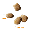 IAMS Dry Adult Dog Food Fresh Chicken (Small/Medium Breed) measurements