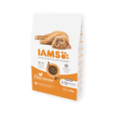 IAMS Dry Kitten Cat Food Chicken 10kg on white background