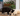 Black cat sniffing a beige dog lying on the floor in a home setting with plants and furniture.