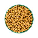 White background with a green bowl pictured filled with dog food kibbles. 