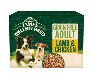 White background with a box of James Wellbeloved Grain Free Lamb and Chicken Dog Wet Food. The box is green and cream with 2 adult dogs pictured on the box.