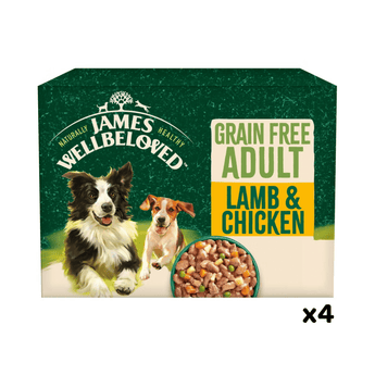 White background with a box of James Wellbeloved Grain Free Lamb and Chicken Dog Wet Food. The box is green and cream with 2 adult dogs pictured on the box.