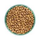 White background with a green bowl pictured filled with dog food kibbles. 