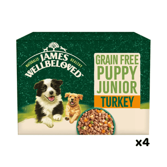 White background with a box of James Wellbeloved Grain Free Turkey Puppy Wet Food. The box is green and cream with 2 adult puppies pictured on the box.