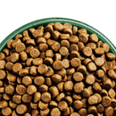 White background with close up of green bowl pictured filled with dog food kibbles. 