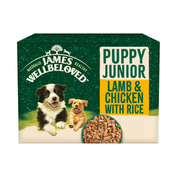 White background with a box of James Wellbeloved Lamb and Chicken Puppy Wet Food. The box is green and cream with 2 puppies pictured on the box.