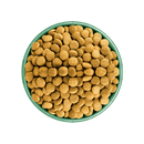 White background with a green bowl pictured filled with dog food kibbles. 