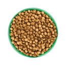 White background with a green bowl pictured filled with dog food kibbles. 