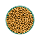 White background with a green bowl pictured filled with dog food kibbles. 