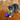 Grey tabby and white kitten playing a purple KONG Active Cat treat toy, on a wooden floor. 