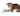 White background with a kitten playing with a blue and green KONG Crackles Grasshopper cat toy.
