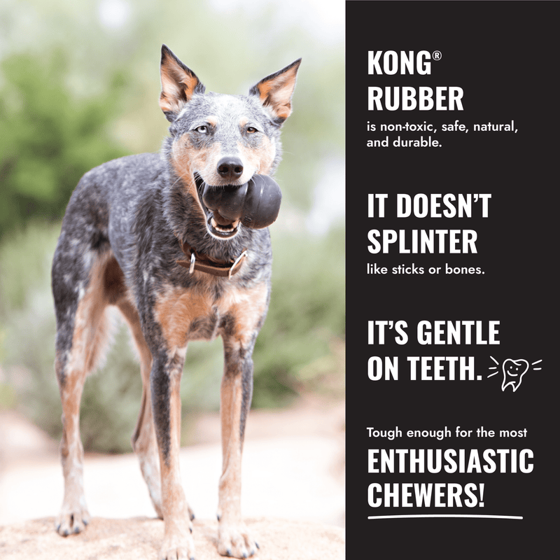 KONG Extreme Goodie Bone