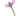 White background with a KONG Flingaroo Dragonfly cat toy, the main body is made from purple fabric with a stripy green, purple and pink tail.