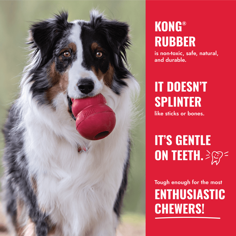 Sheep dog holding KONG classic toy