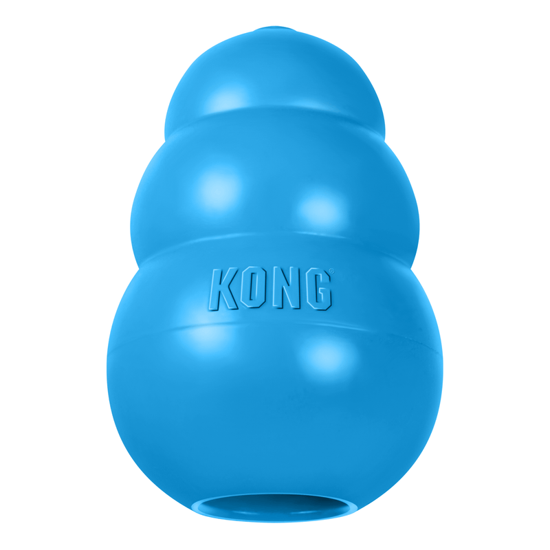 Blue KONG Puppy Toy out of packet