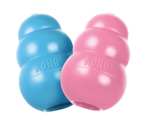KONG Puppy