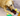 Golden retriever playing with a KONG Shakers Bobz Duck dog toy, with a long green neck and brown body, yellow beak and legs with stitched features on a grey sofa.