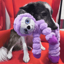 Black and white collie with a Pale purple soft fabric and rope Sloth KONG Dog Toy with a blue eyes and purple feet in the dog's mouth, pictured sitting in a red chair. 