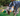 Blue heeler dog with a KONG Shakers Duck dog toy, with a long green and brown neck and grey body, yellow beak and legs with stitched features in it's mouth.