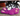 Black and white husky puppy playing with a KONG Snuzzles Bunny dog toy, the main body is made from purple fur body with pink feet and inner ears with stitched features. 