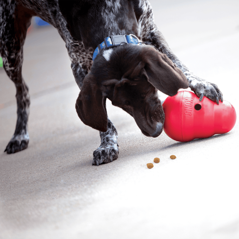KONG Wobbler Toy
