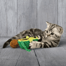 Wooden grey background with a silver tabby kitten playing with a green and yellow avocado shaped cat toy with a brown 'wool ball' centre. The Avocado has cat ears and cat features including whiskers, a tail and paws, while wearing sun glasses. 