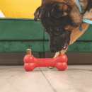 Dog eating Red KONG bone with KONG Ziggies