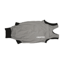 White background with one grey  bodysuit with a black trim for cats pictured. 