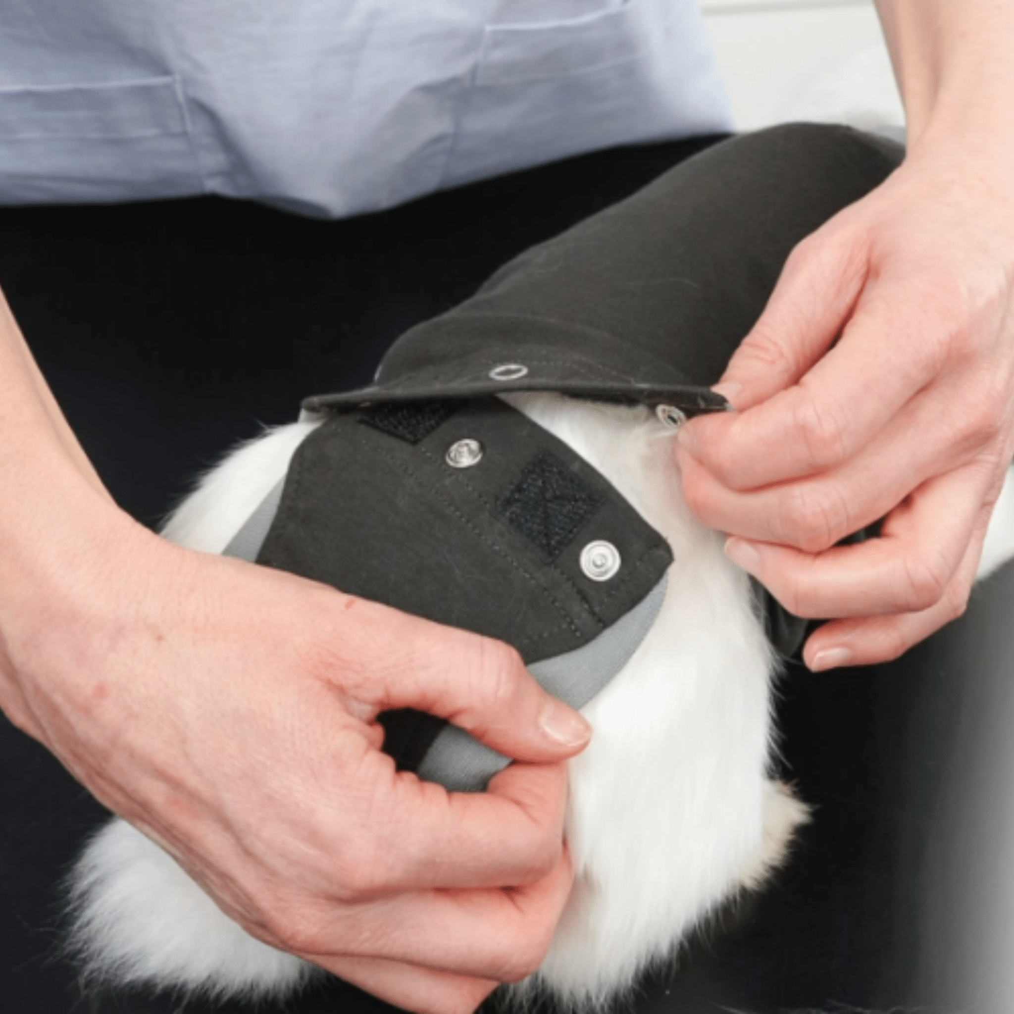 Kruuse BUSTER Body Suit For Rabbits – PDSA Pet Store