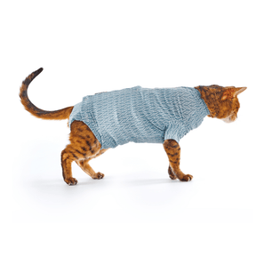 White background with an adult bengal cat wearing a geometric blue bodysuit while standing pictured.