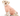 White background with an adult white cross breed dog wearing a geometric peach bodysuit while sat down. 