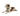 White background with a brown and white collie type dog wearing a transparent plastic Elizabethan style recovery collars with green coloured bones on it. 