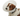 White background with a close up of a brown and white collie type dog  wearing an opaque plastic Elizabethan style recovery collar.