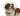 White background with a close up of a brown and white collie type dog  wearing a transparent plastic Elizabethan style recovery collar attached to a black collar. 