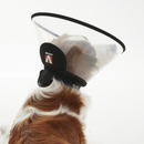 White background a brown and white collie type dog wearing a transparent plastic Elizabethan style recovery collar with a black base, with it's back to the camera.  