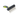 White background with a small black plastic brush with green grip handle and long metal comb teeth pictured. 