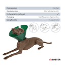 White background with a green plastic Elizabethan style recovery collar with a guide about how to care for the recovery collar. With a dog wearing a recovery collar below. 