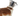 White background with a back view of a brown and white collie type dog  wearing a transparent plastic Elizabethan style recovery collar attached to a black collar. 
