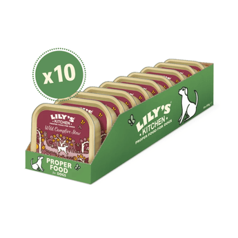 A green display box of Lily's Kitchen dog food containing ten individual foil trays of Campfire Stew for dogs, shown on a white background with a green 'x10' badge.