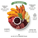 Lily's Kitchen Lamb Hotpot Tin