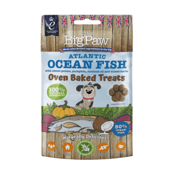 White background with a packet of Little BigPaw 'Atlantic Ocean Fish with sweet potato, pumpkin, coconut oil and mixed herbs' dog treats. Pictured on the packet is an illustration of a grey dog with a fish, a pumpkin, sweet potatoes and a coconut in the foreground. Text on the bag says 'Oven Baked Treats, 100% natural ingredients, Naturally delicious! 50% ocean fish'. 