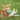 Ginger tabby cat with white paws playing with pastel coloured stars with feathers attached to a fishing rod style cat teaser.