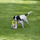 Black and white puppy running on grass with pastel pink, yellow and blue heart shaped rope dog toy in its mouth.