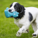 Black and white spaniel puppy with blue latex teddy bear dog toy in it's mouth while running on grass. 