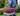 Black cat lying inside a pink mesh MDC cat carrier with a white tray inside and fleece blanket being carried by a person dressed in blue. 