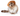 Long haired Tabby point cat wearing a Elizabethan style cardboard recovery collars, pictured on a white background. 