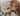 Close up of brown spaniel type puppy cuddling with light brown dog shaped dog toy with long arms and legs, stitched detail eyes, brown nose. Pictured inside on a white fleece blanket. 
