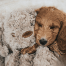 Close up of brown spaniel type puppy cuddling with light brown dog shaped dog toy with long arms and legs, stitched detail eyes, brown nose. Pictured inside on a white fleece blanket. 